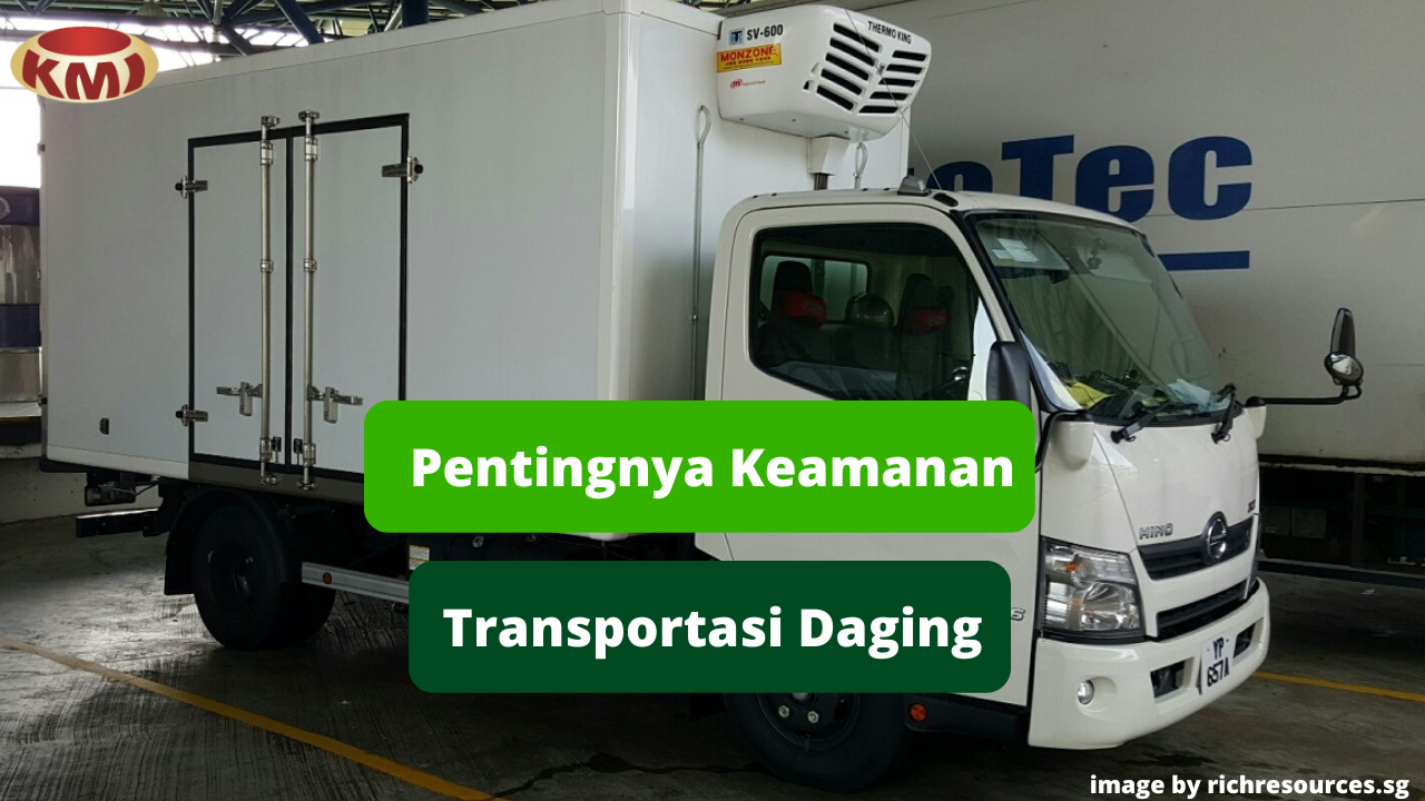 Berikut Alasan Pentingnya Menjaga Daging Ayam Selama Transportasi